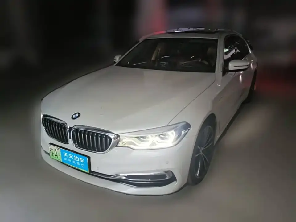 BMW 5 Series New Energy 530Le Range Upgrade Luxury Package 2020
