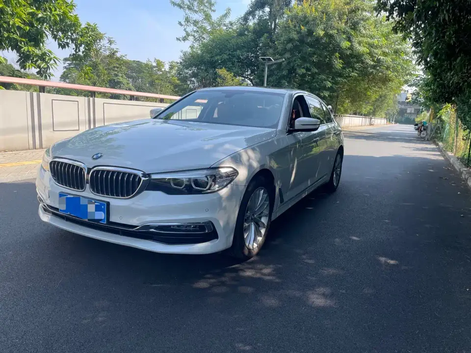 BMW 5 Series 530Li Leading Luxury Package 2019