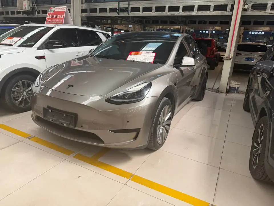 Tesla Model Y Rear-Wheel Drive Version 2023