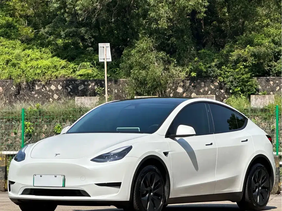 Tesla Model Y Rear-Wheel Drive Version 2024