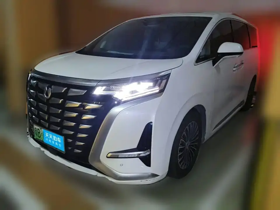 Denza D9 DM-i 1040 Premium 2023