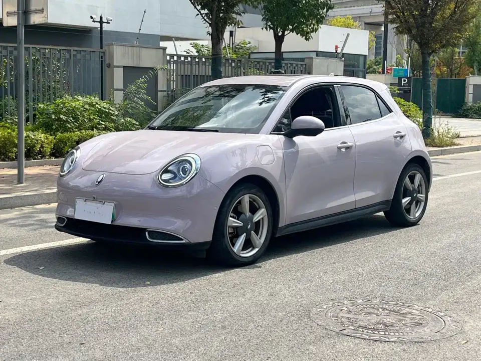 ORA Good Cat 400km Standard Range Athena Edition (LFP) 2021