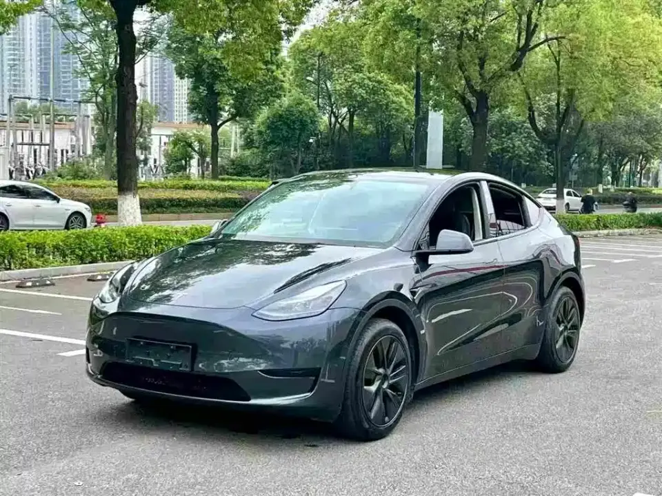 Tesla Model Y Rear-Wheel Drive Version 2024