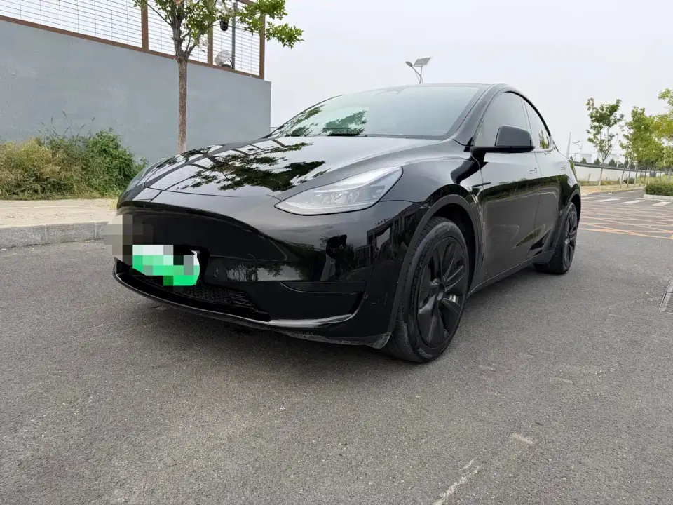 Tesla Model Y Rear-Wheel Drive Version 2022