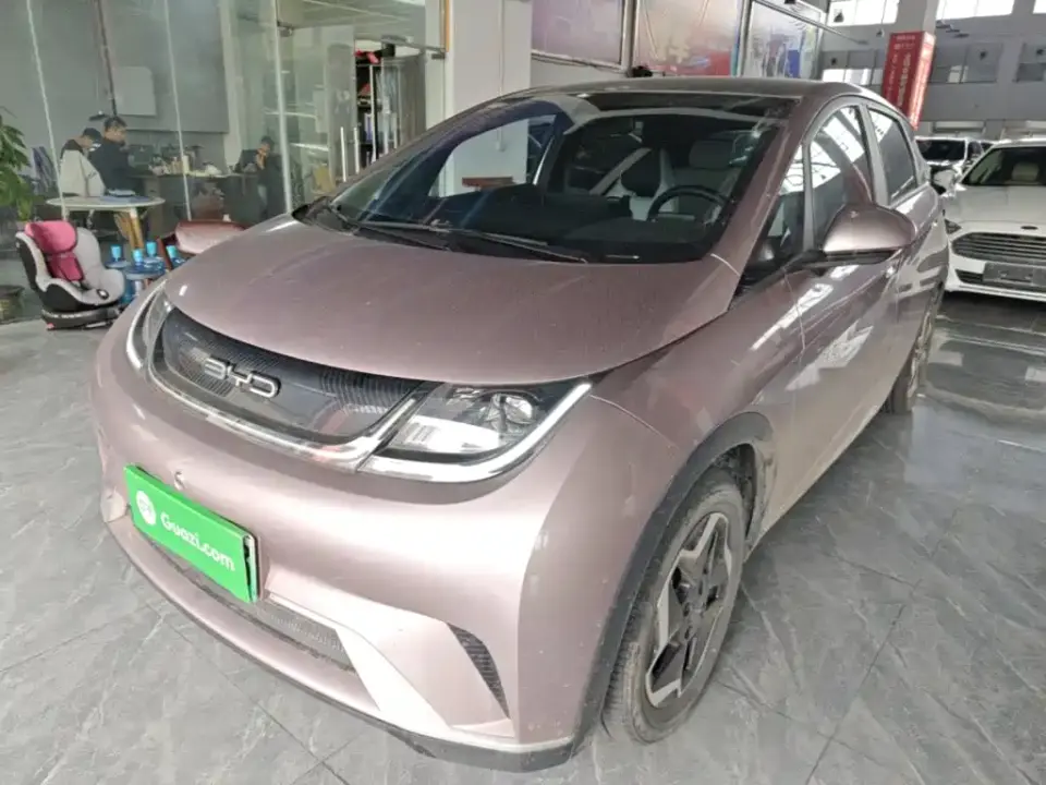 BYD Dolphin Model 405km Fashion Edition 2023