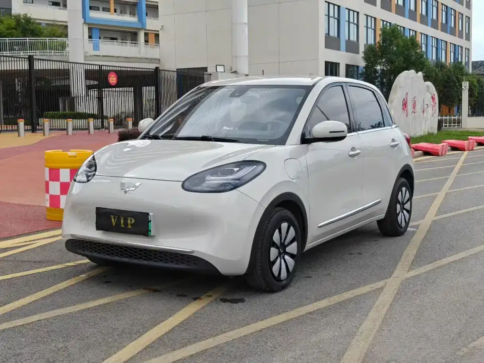 Wuling Motors Wuling Bingo 333km Comfort Edition 2024