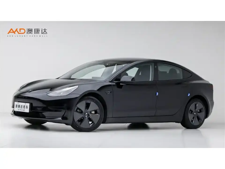 Tesla Model 3 Standard Range Rear-Wheel Drive Upgrade 2021