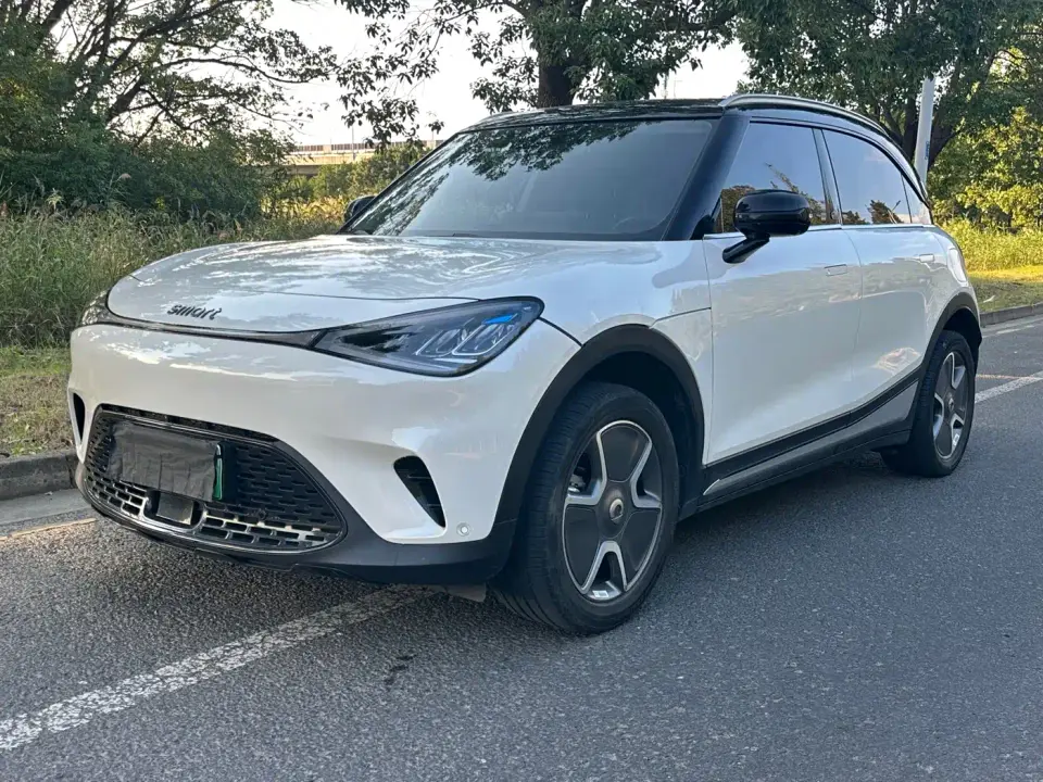 Smart Elf #1 Model Pro Edition 2024