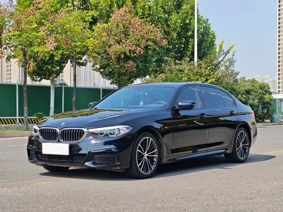 BMW 5 Series 530Li Leading M Sport Package 2019