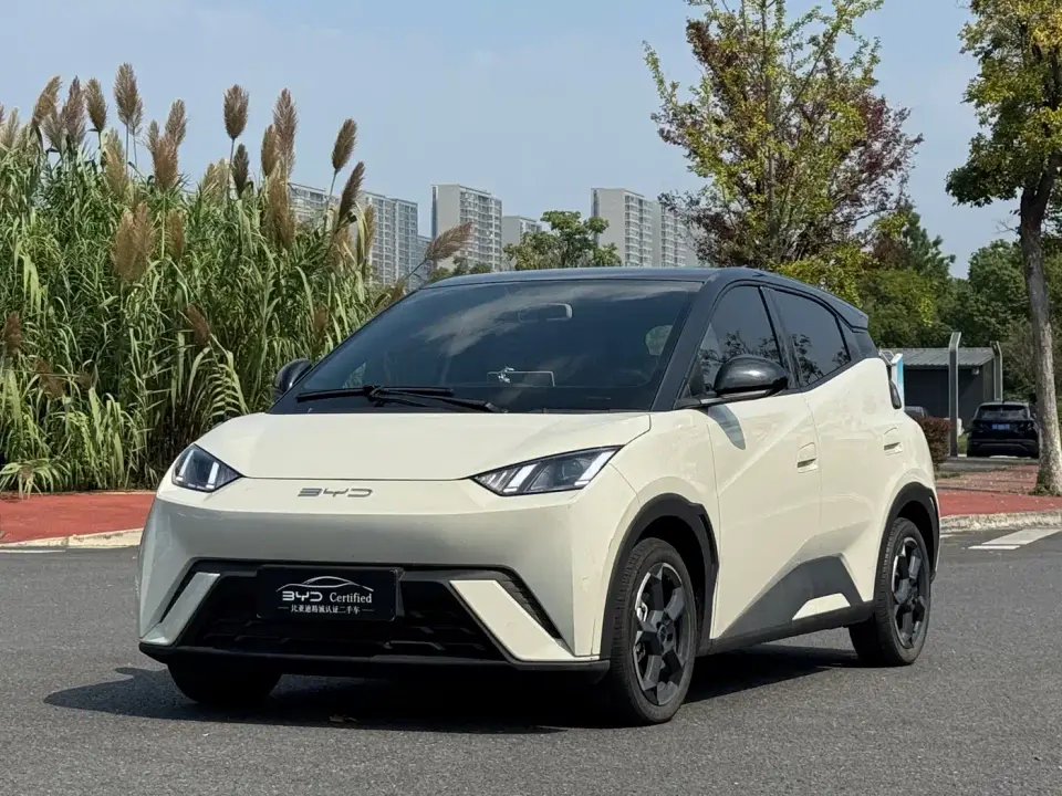 BYD Seagull Freedom Edition 2024