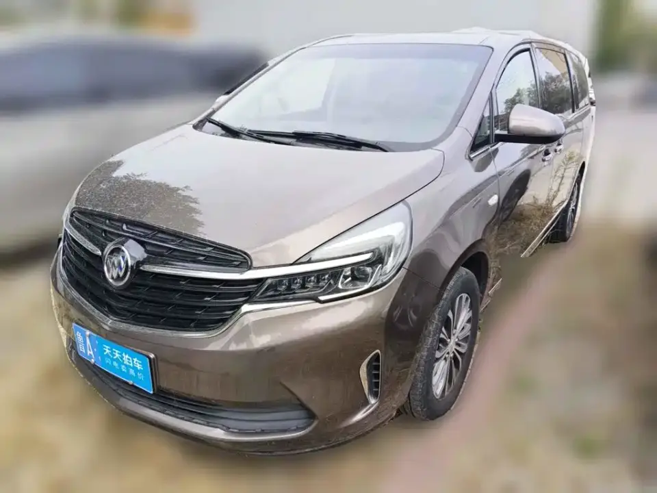 Buick GL8 Land Business Class 652T Luxury 2021
