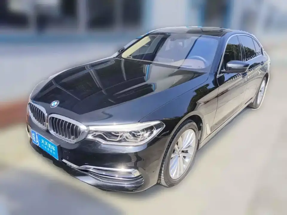 BMW 5 Series 530Li Premium Luxury Package 2020