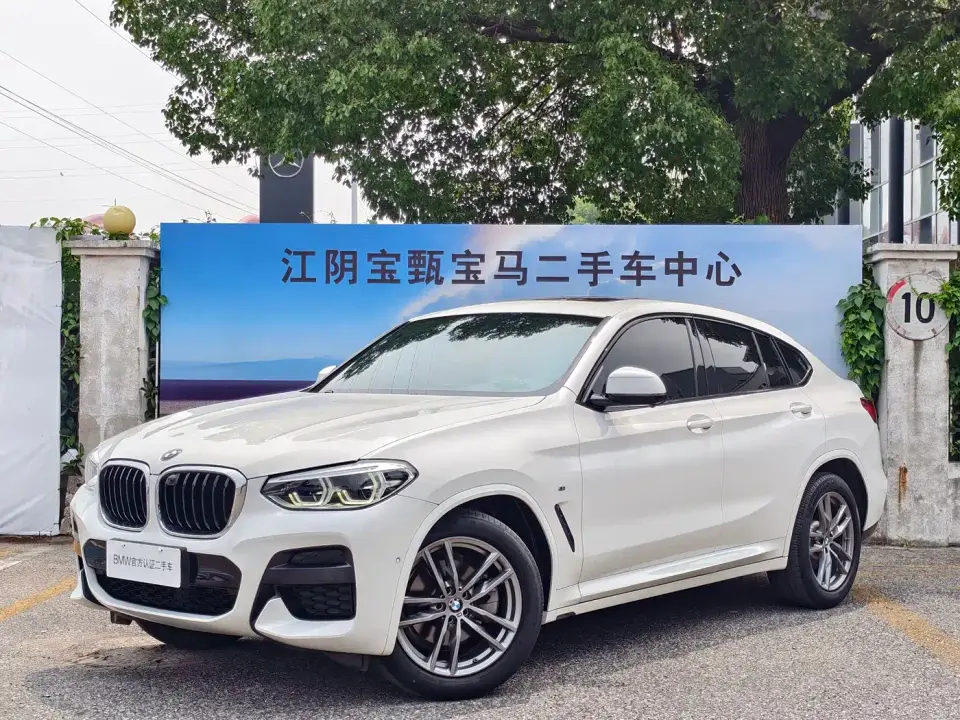 BMW X4 xDrive25i M Sport Package 2019