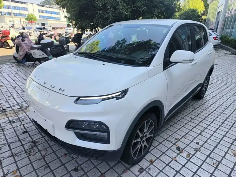 Dayun Yuehu 32.85kWh 2WD Elf Edition 2021