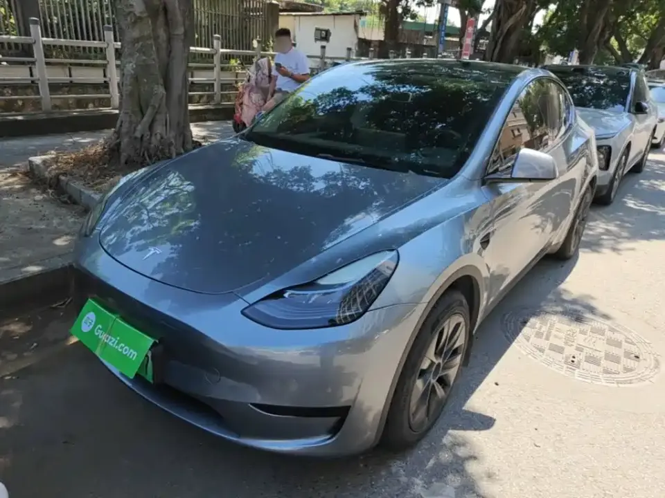 Tesla Model Y Rear-Wheel Drive Version 2024