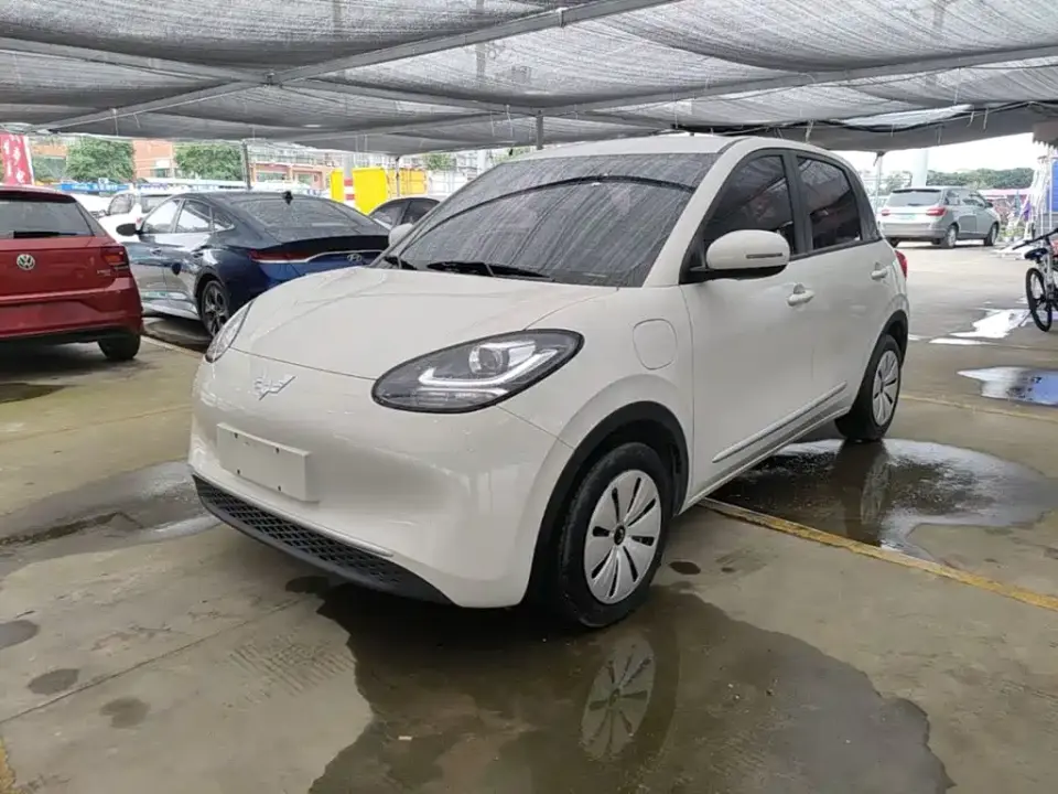 Wuling Motors Wuling Bingo 203km Lite Edition 2024