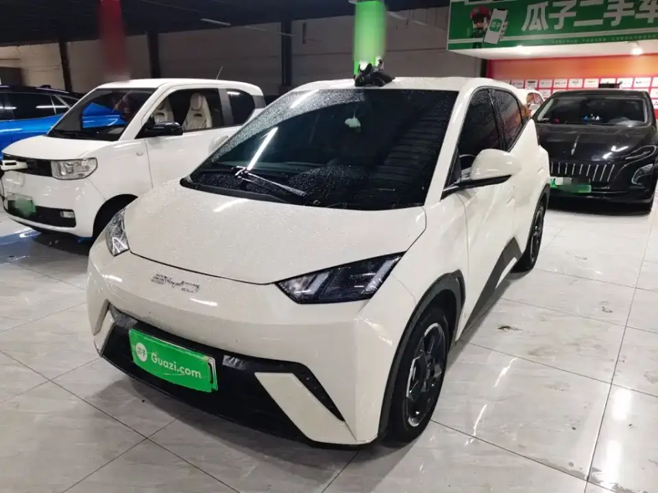BYD Seagull Freedom Edition 2024