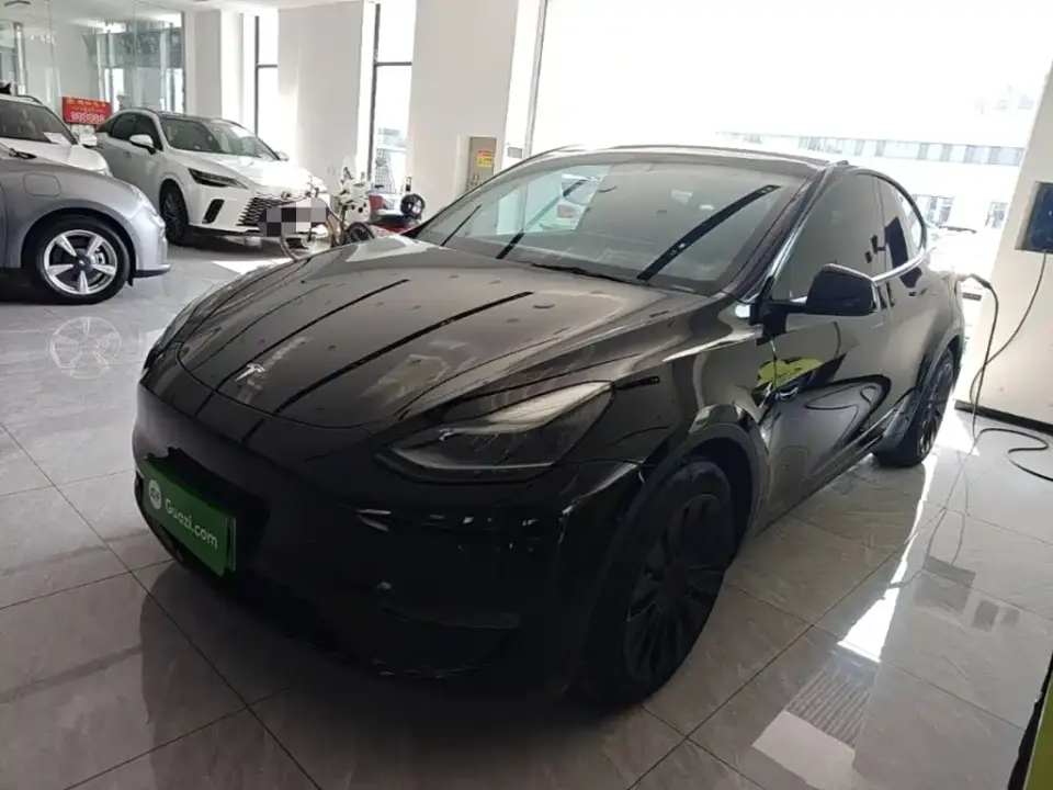 Tesla Model Y Standard Range Rear-Wheel Drive 2021