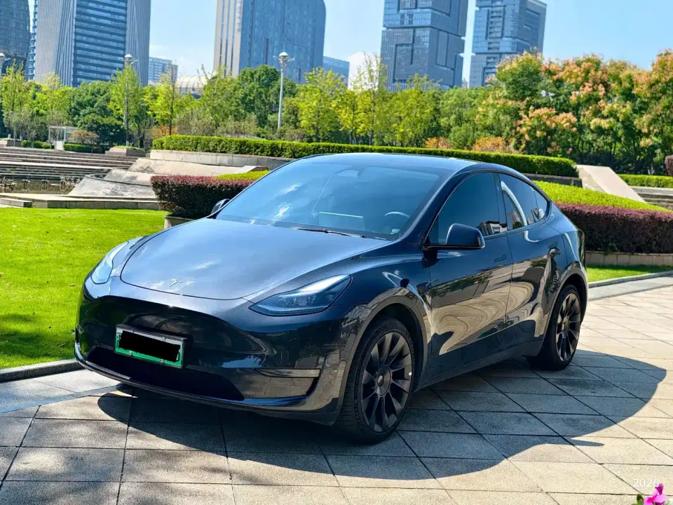 Tesla Model Y Long Range AWD 2024