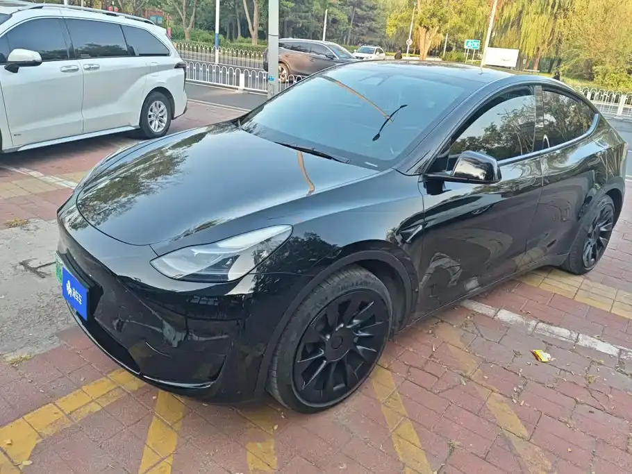 Tesla Model Y Rear-Wheel Drive Version 2022