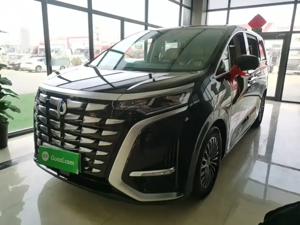 Denza D9 DM-i 980 AWD Premium 2025