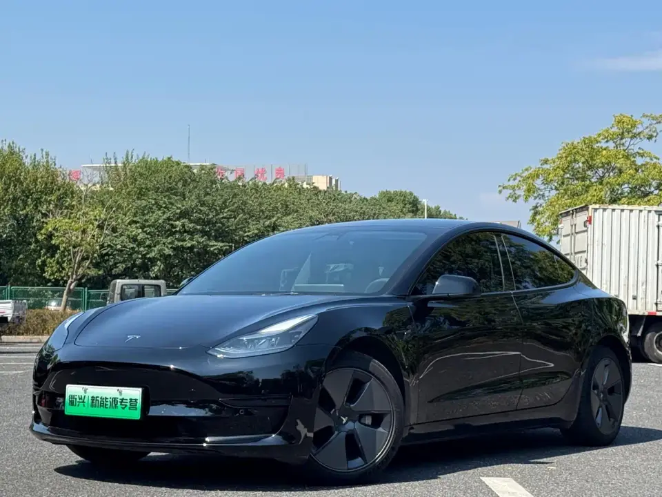 Tesla Model 3 Standard Range Rear-Wheel Drive Upgrade 3D6 2021