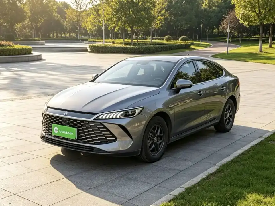 BYD Qin PLUS DM-i Smart Drive 55KM Leader 2025
