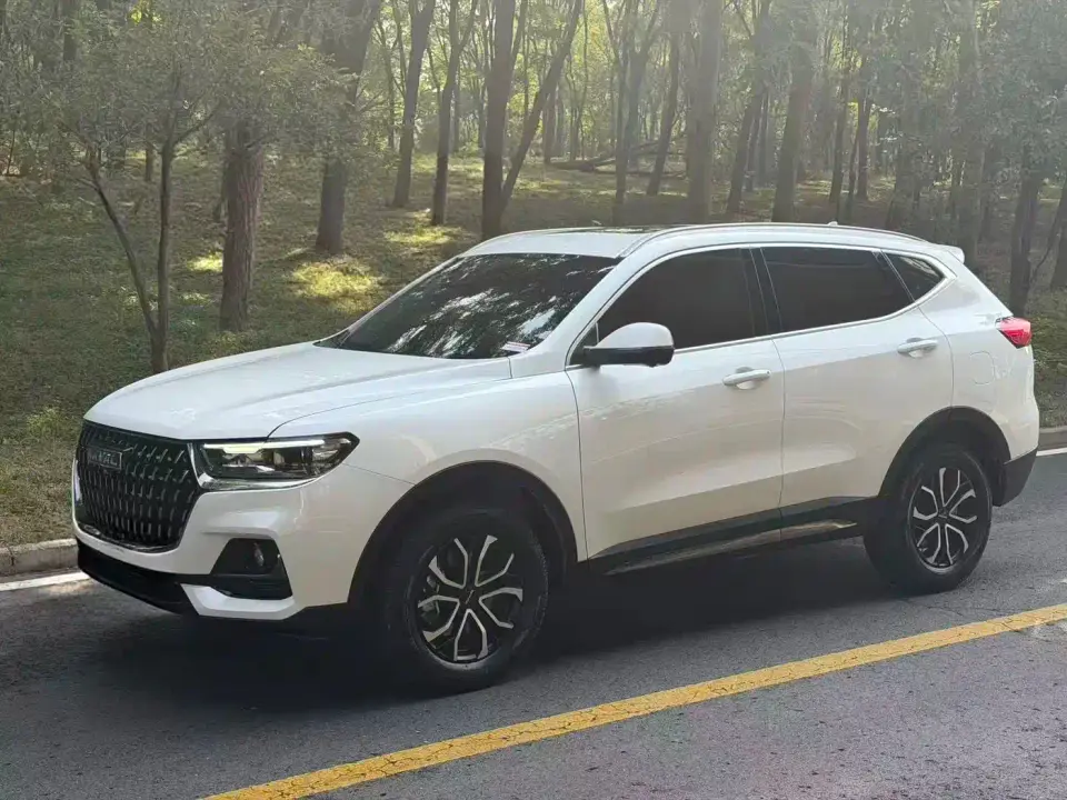 Haval H6 National Trend Edition 1.5T Automatic Urban 2024