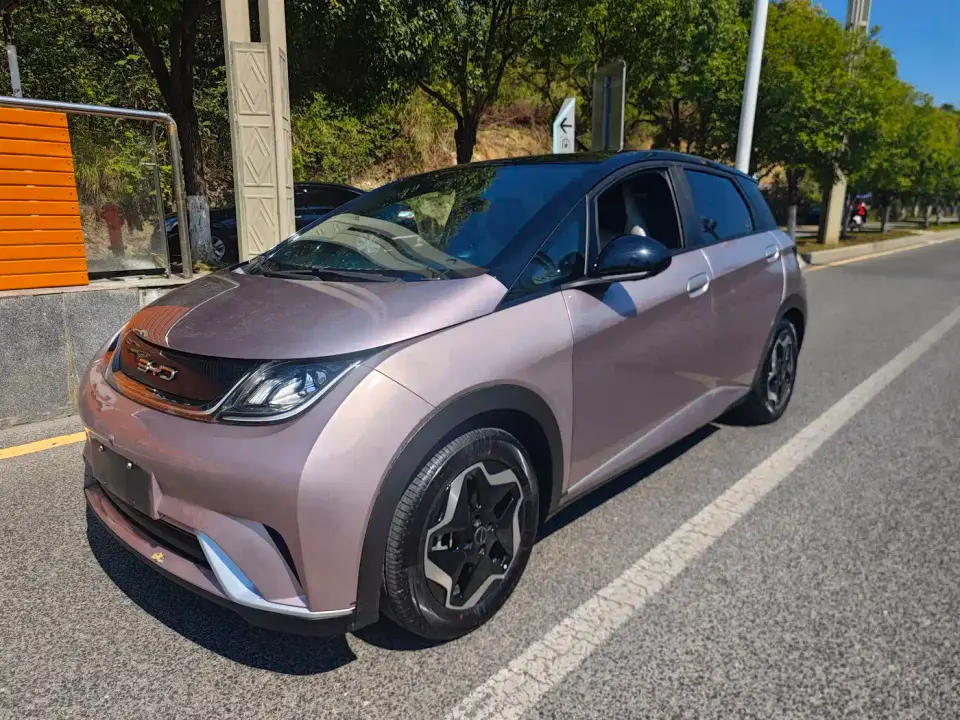 BYD Dolphin 405km Freedom Edition 2022