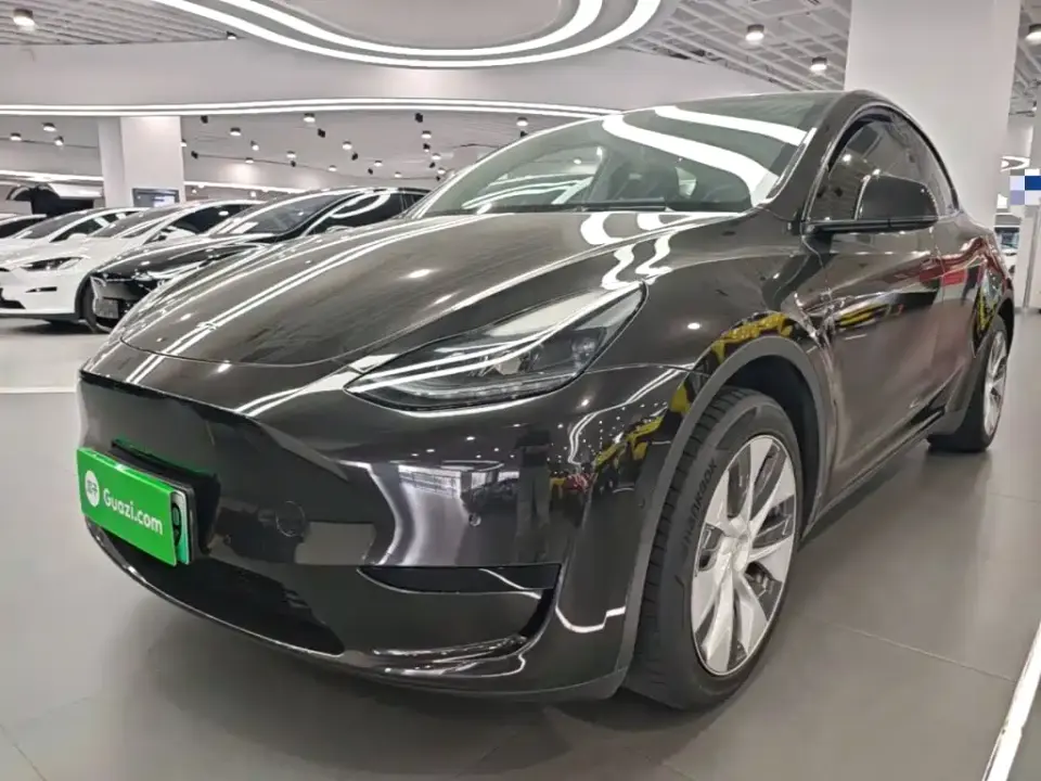 Tesla Model Y Rear-Wheel Drive Version 2022