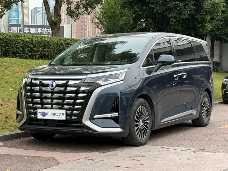 Denza D9 DM-i 1050 Premium 2024