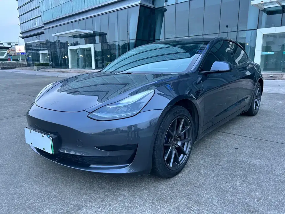 Tesla Model 3 Standard Range Rear-Wheel Drive Upgrade 3D6 2021