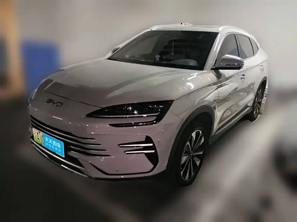 BYD Song PLUS PHEV DM-i 112KM Honor 2024