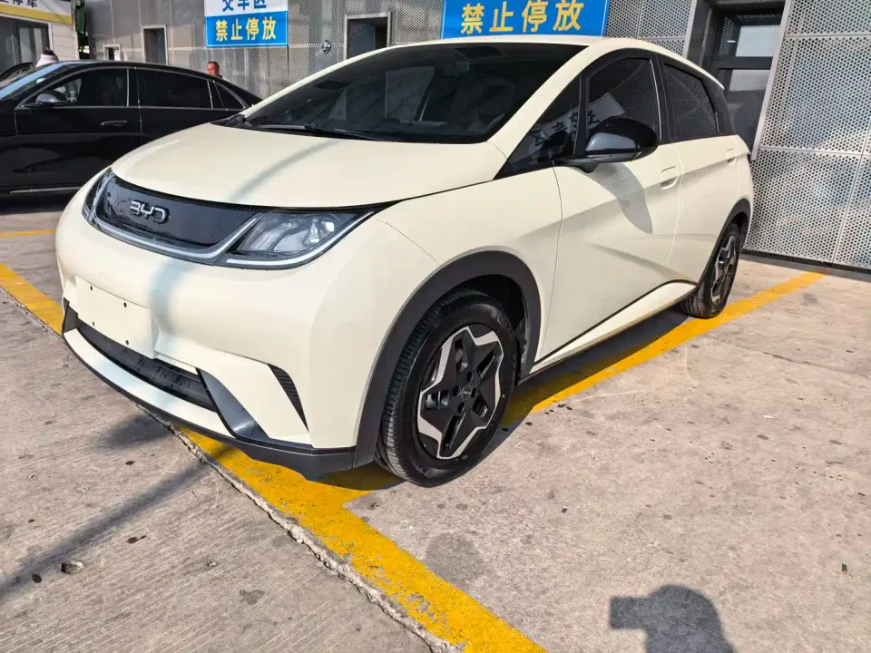 BYD Dolphin 420km Freedom Edition 2025