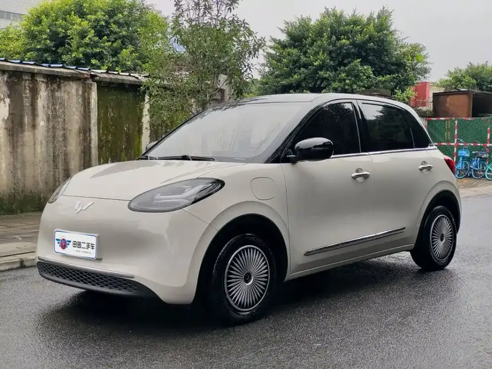 Wuling Motors Wuling Bingo 333km Smart Connect Edition 2024