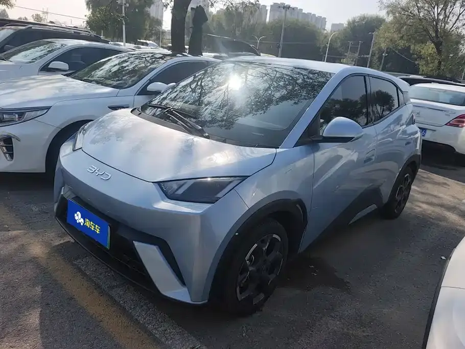 BYD Seagull Glory Edition 305km Freedom Edition 2024