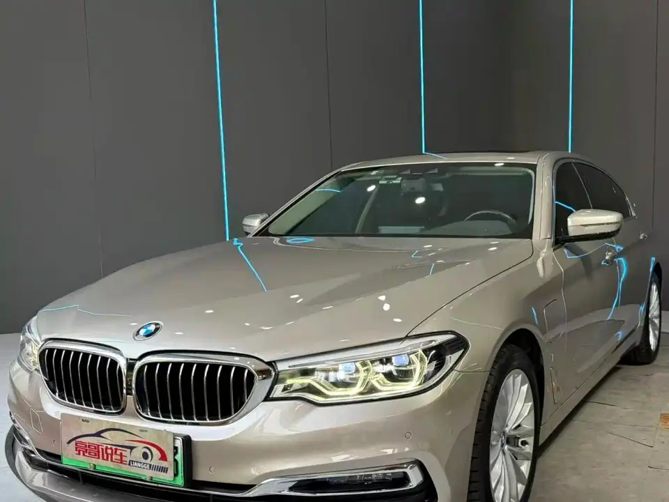 BMW 5 Series New Energy 530Le Luxury Package 2019