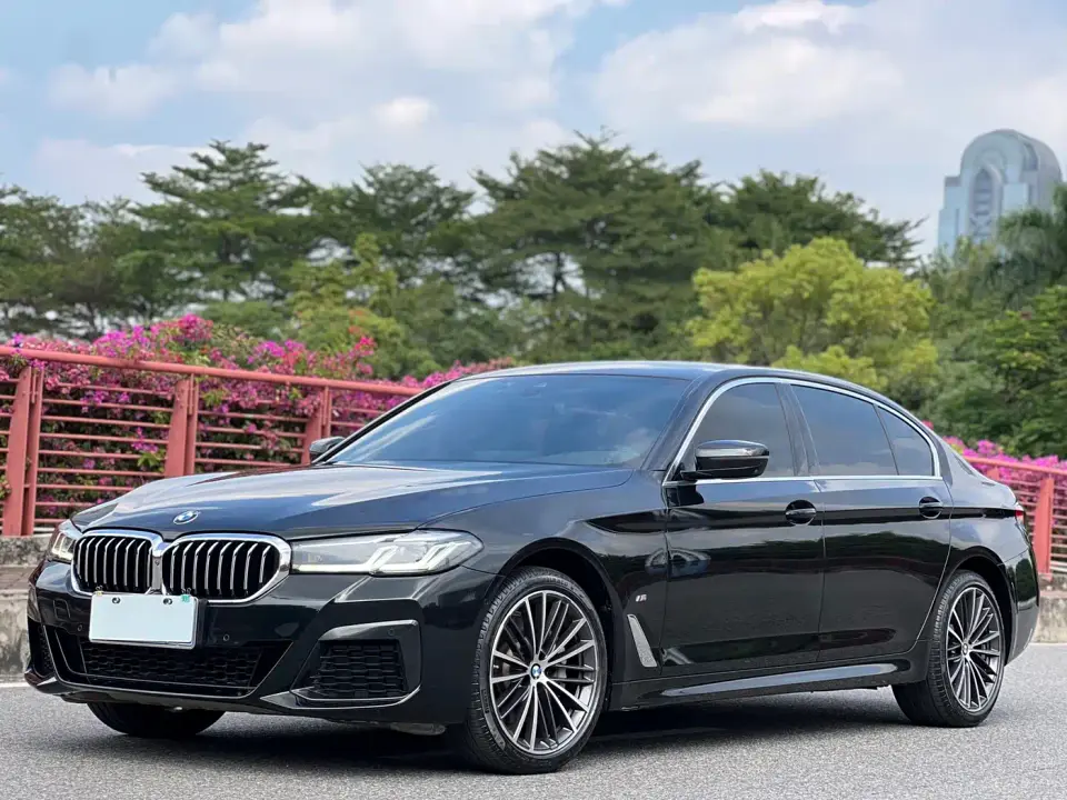 BMW 5 Series 530Li Leading M Sport Package 2021