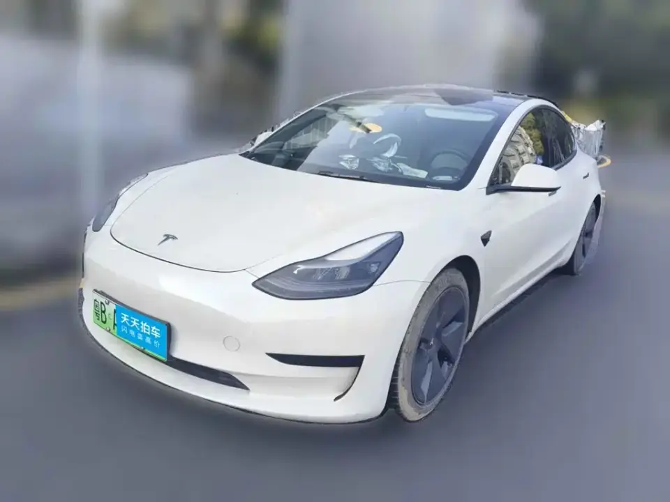 Tesla Model 3 Facelift Standard Range RWD Upgrade 3D1 2021