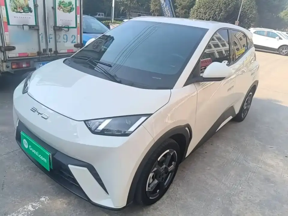 BYD Seagull Freedom Edition 2023