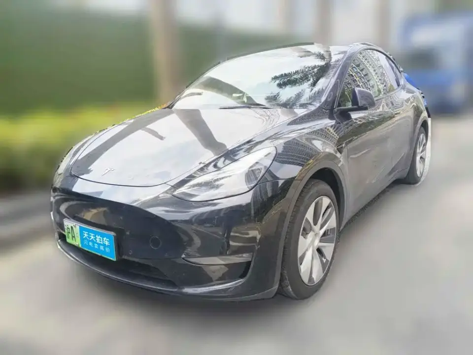 Tesla Model Y Standard Range Rear-Wheel Drive 2021