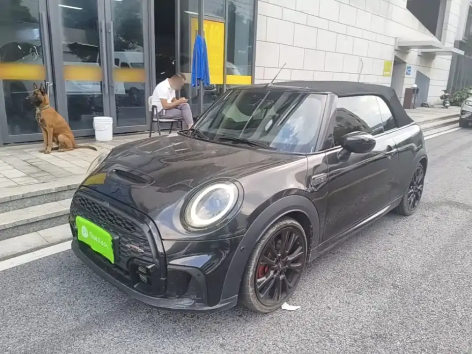 Mini MINI Facelift II 2.0T COOPER S CABRIO Artist 2024
