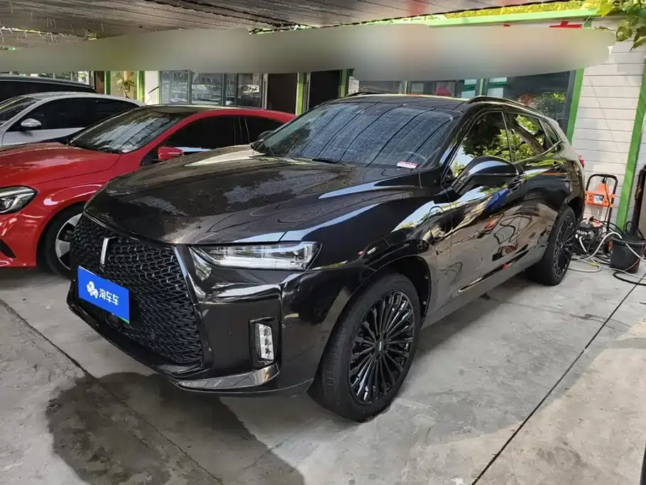 Wey P8 2.0T Flagship Model 2019