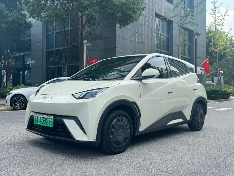 BYD Seagull Vitality Edition 2024