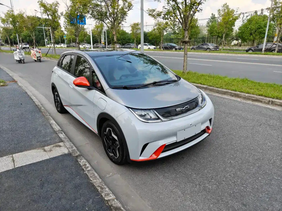 BYD Dolphin Model 405km Fashion Edition 2022