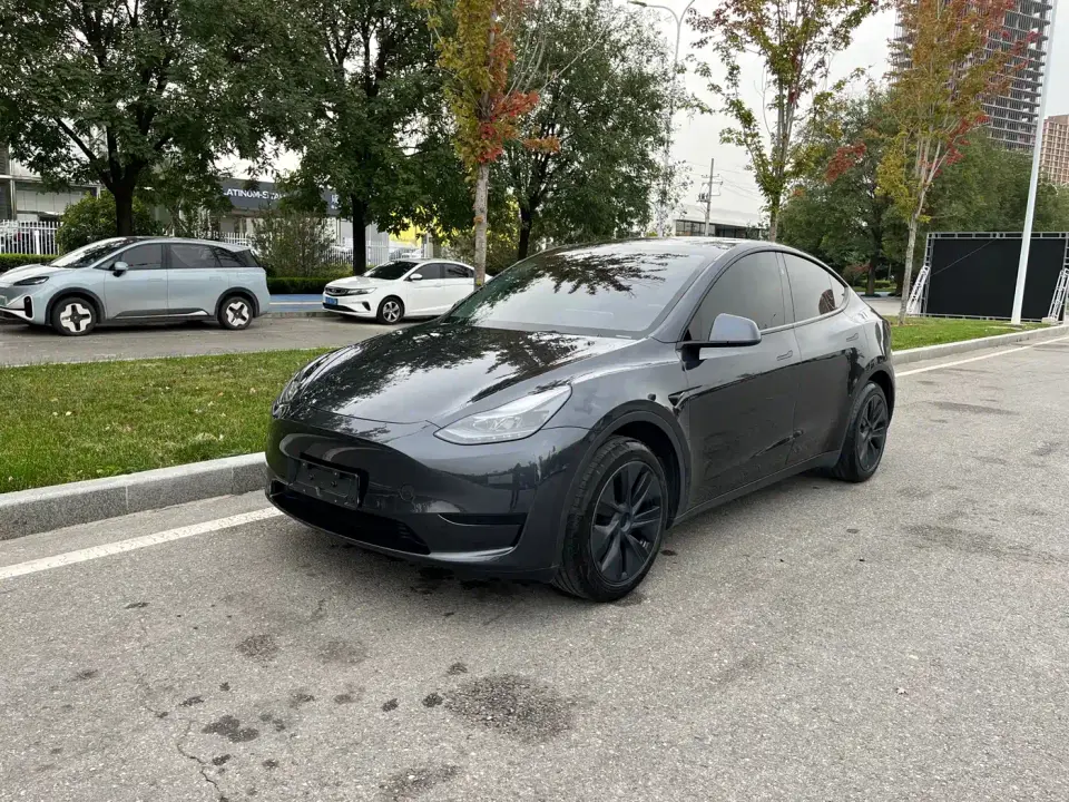 Tesla Model Y Rear-Wheel Drive Version 2025