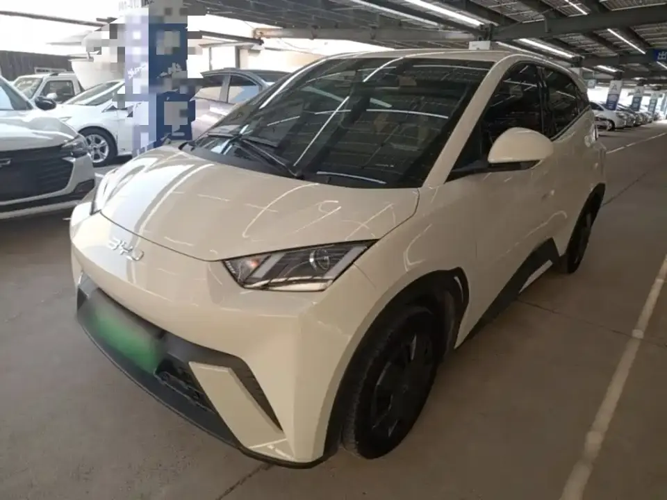 BYD Seagull 305km Vitality 2024