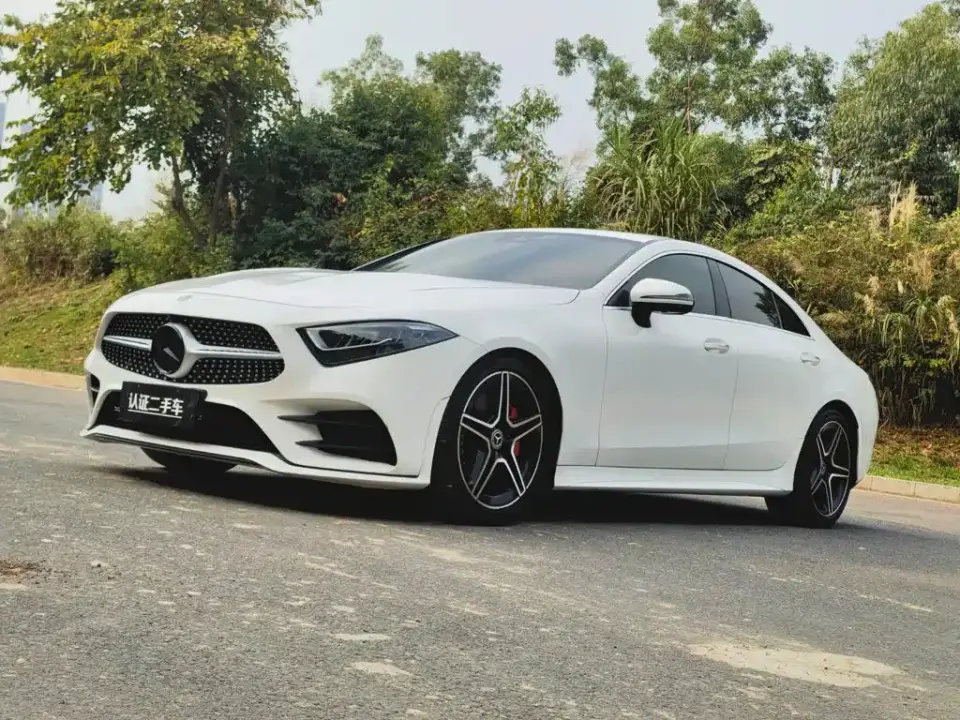 Mercedes-Benz CLS-Class CLS 300 Luxury 2021