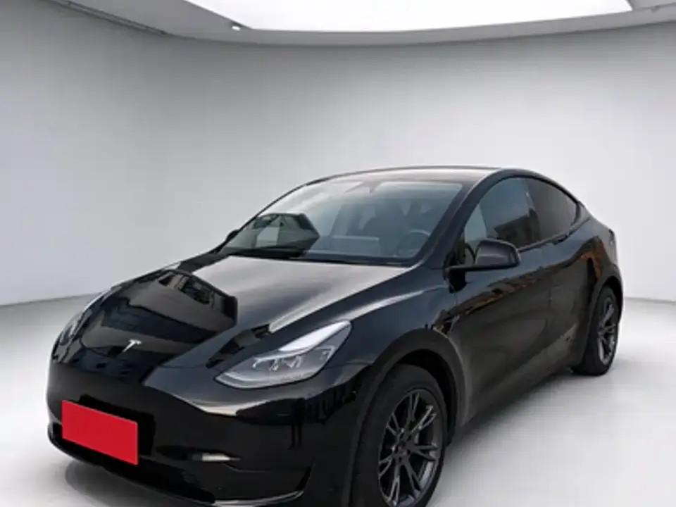 Tesla Model Y Rear-Wheel Drive Version 2024