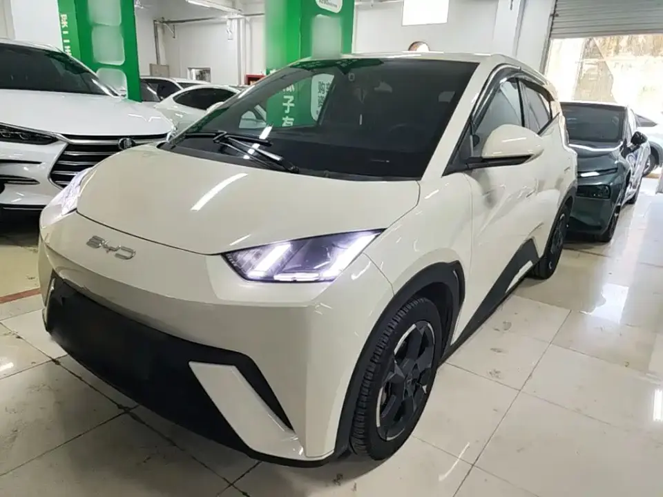 BYD Seagull Flying Edition 2023